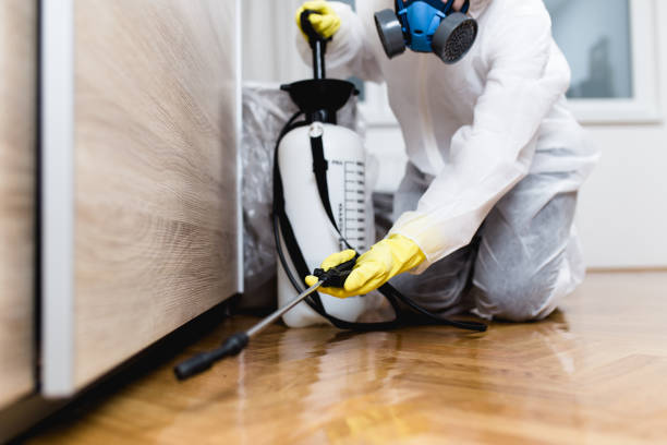 Best Exterminator Services  in Shelton, NE
