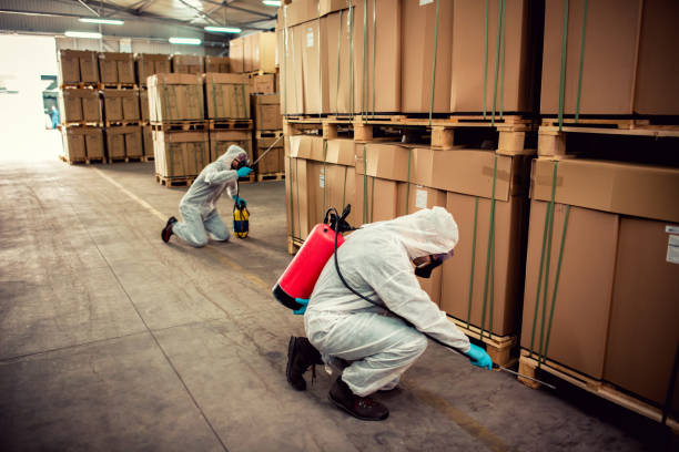 Best Local Pest Control Services  in Shelton, NE