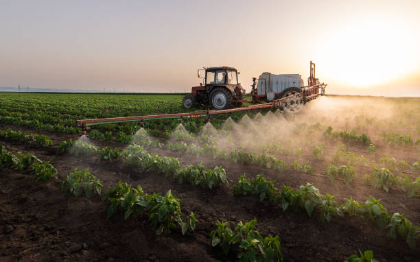 Best Pest Prevention Services  in Shelton, NE