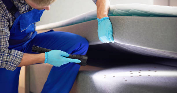 Best Best Pest Control Companies  in Shelton, NE