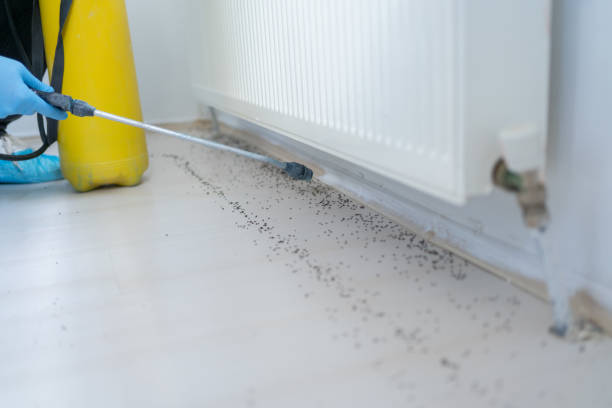 Best Commercial Pest Control Services  in Shelton, NE