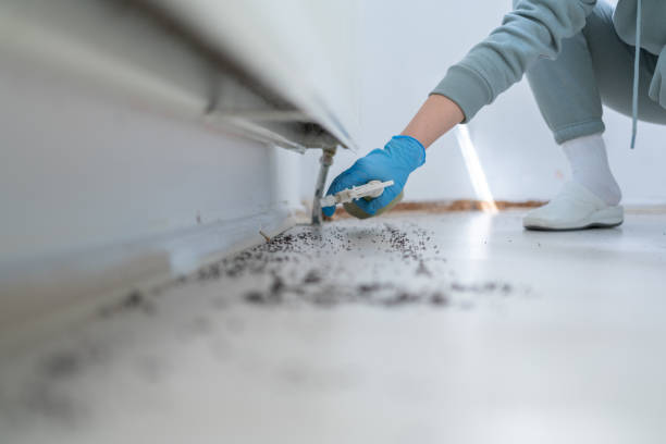 Best Pest Control Near Me  in Shelton, NE
